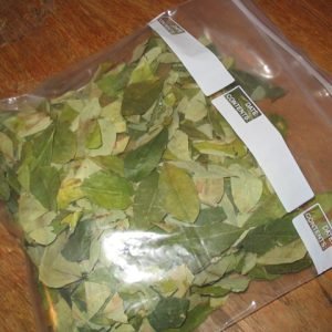 Coca Leaves for Sale